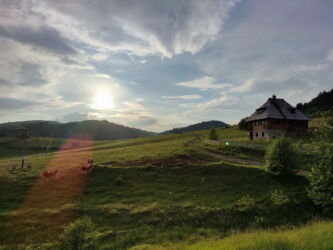Zalatak sunca u Tičijem polju...Foto : Aca