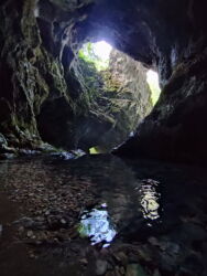 Vodena pećina-Panjica