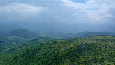 foto Andjelka M.