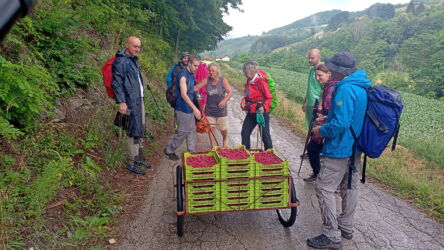 Milanka i njeno posluženje