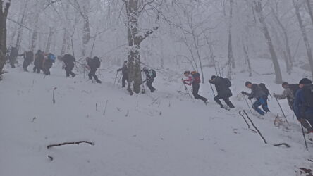 Pošli iz Lukova...