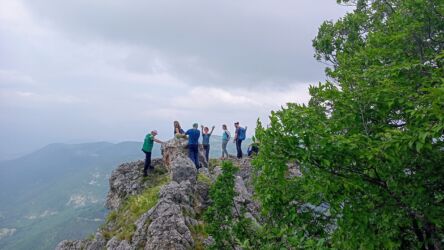 Čelina
