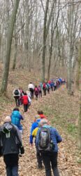 Prvojanuarsko pešačenje, Avala 2024