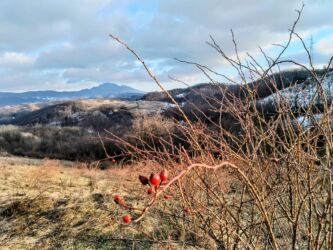 Još jedan pogled na Krš pred silazak u selo...